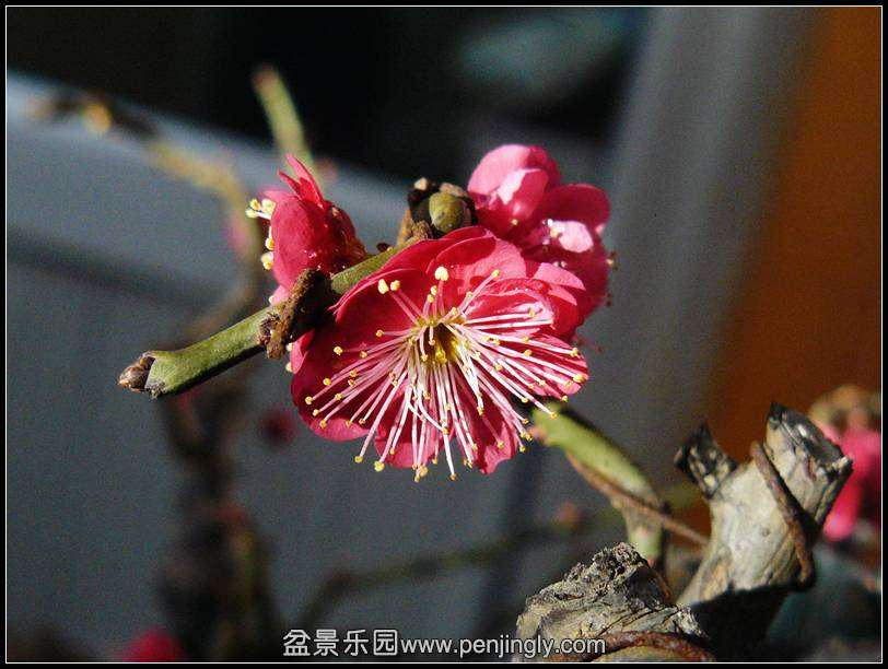 P1070745.JPG