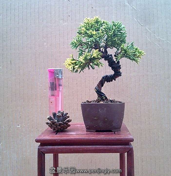 QQ图片20140130114118.jpg
