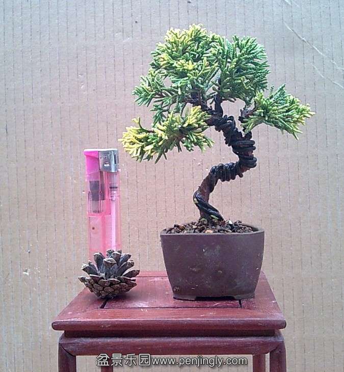 QQ图片20140130114122.jpg