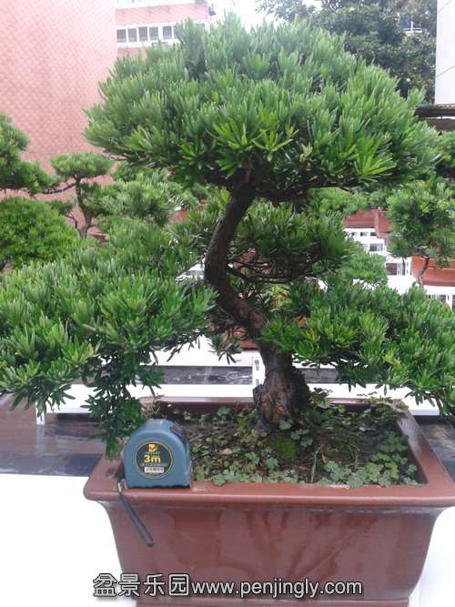 2013-06-23 16.39.16.jpg