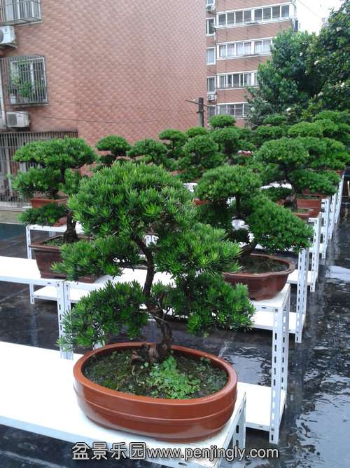 2013-06-23 16.49.59.jpg