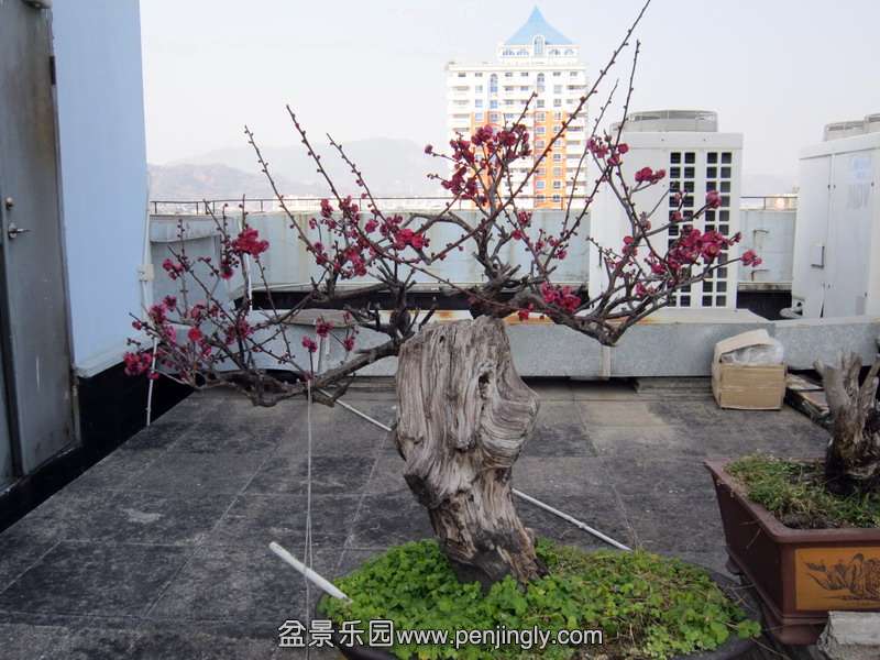 IMG_1140.jpg
