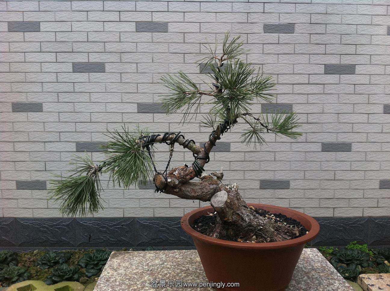 20140201.jpg