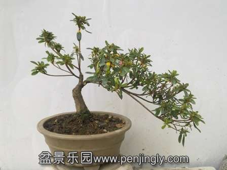 201402022009.jpg