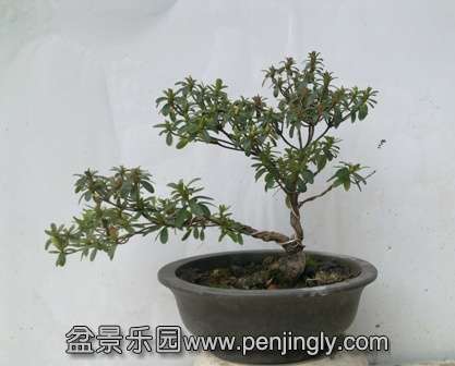 201402022010.jpg