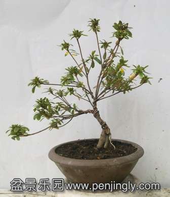 201402022013.jpg