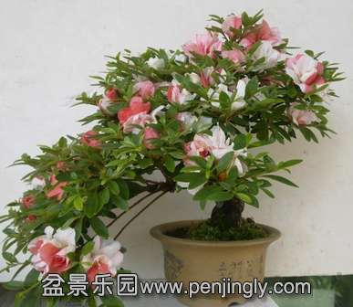 20130519081.jpg