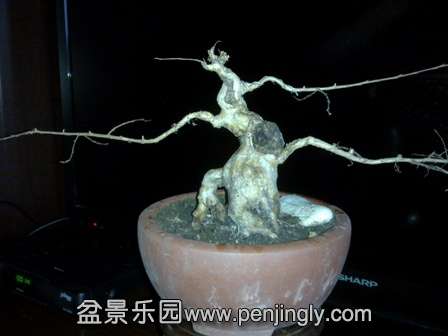 201402032024.jpg