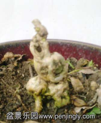 201402022021.jpg
