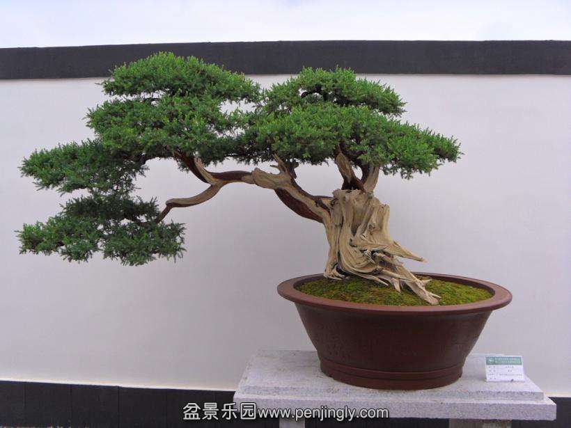 SDC12932.JPG