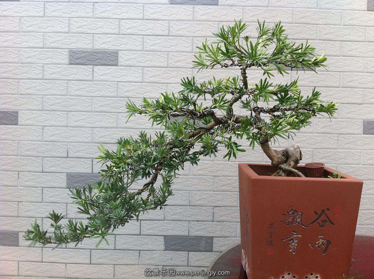 20140204ȸ.jpg