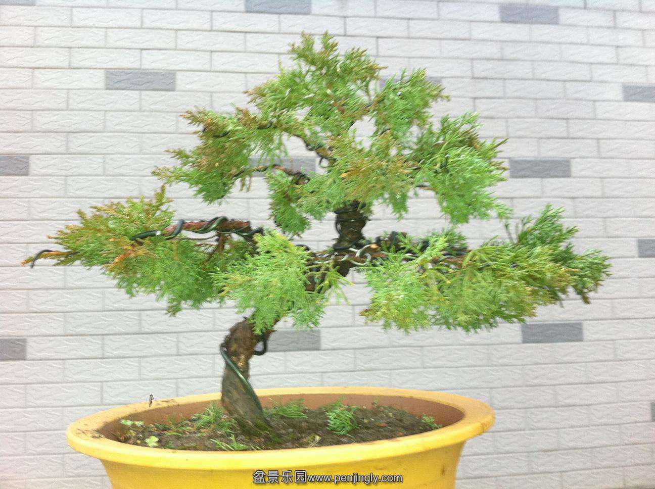 20140204.jpg