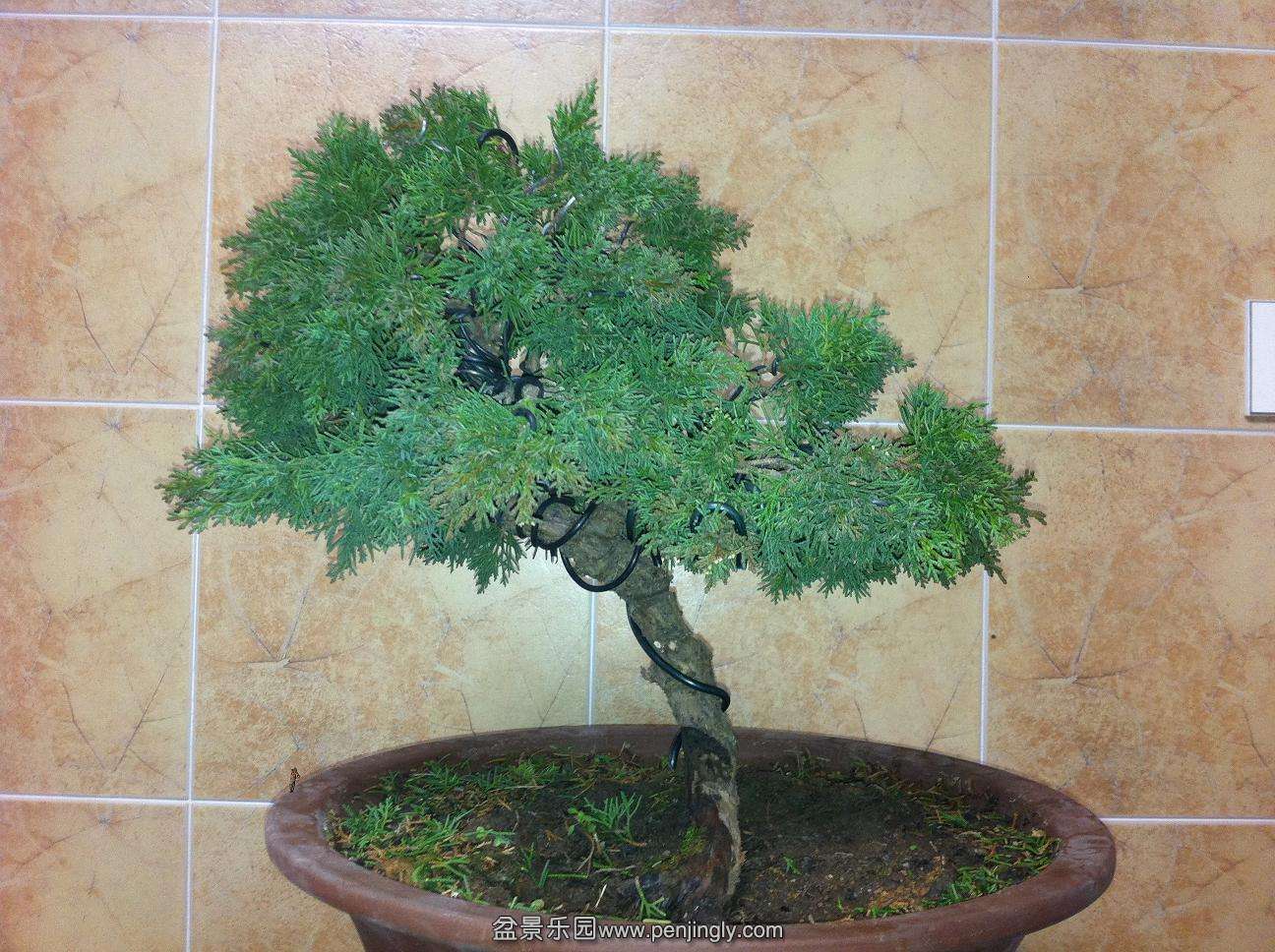 20140205.jpg