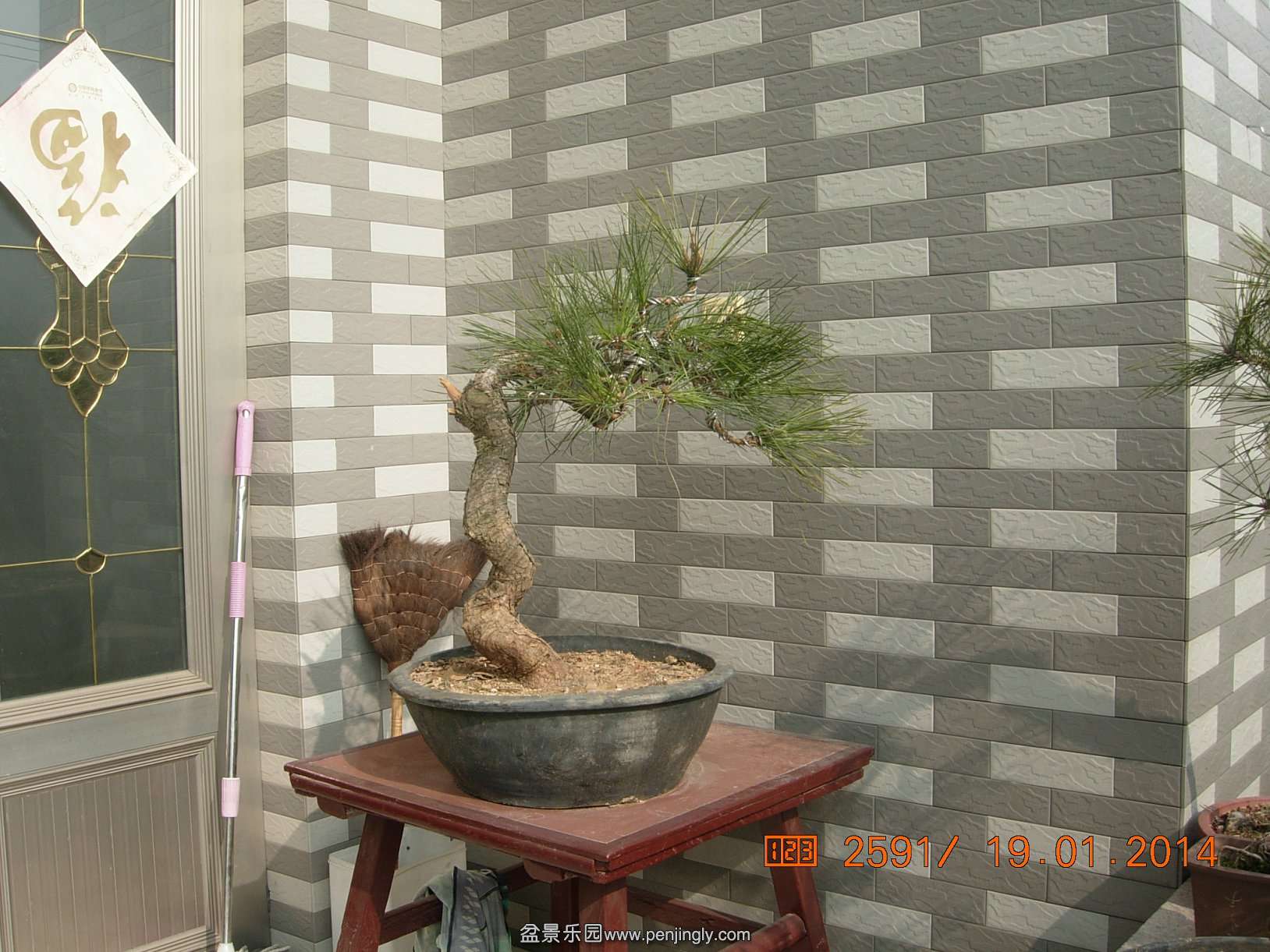 DSCN7123.JPG