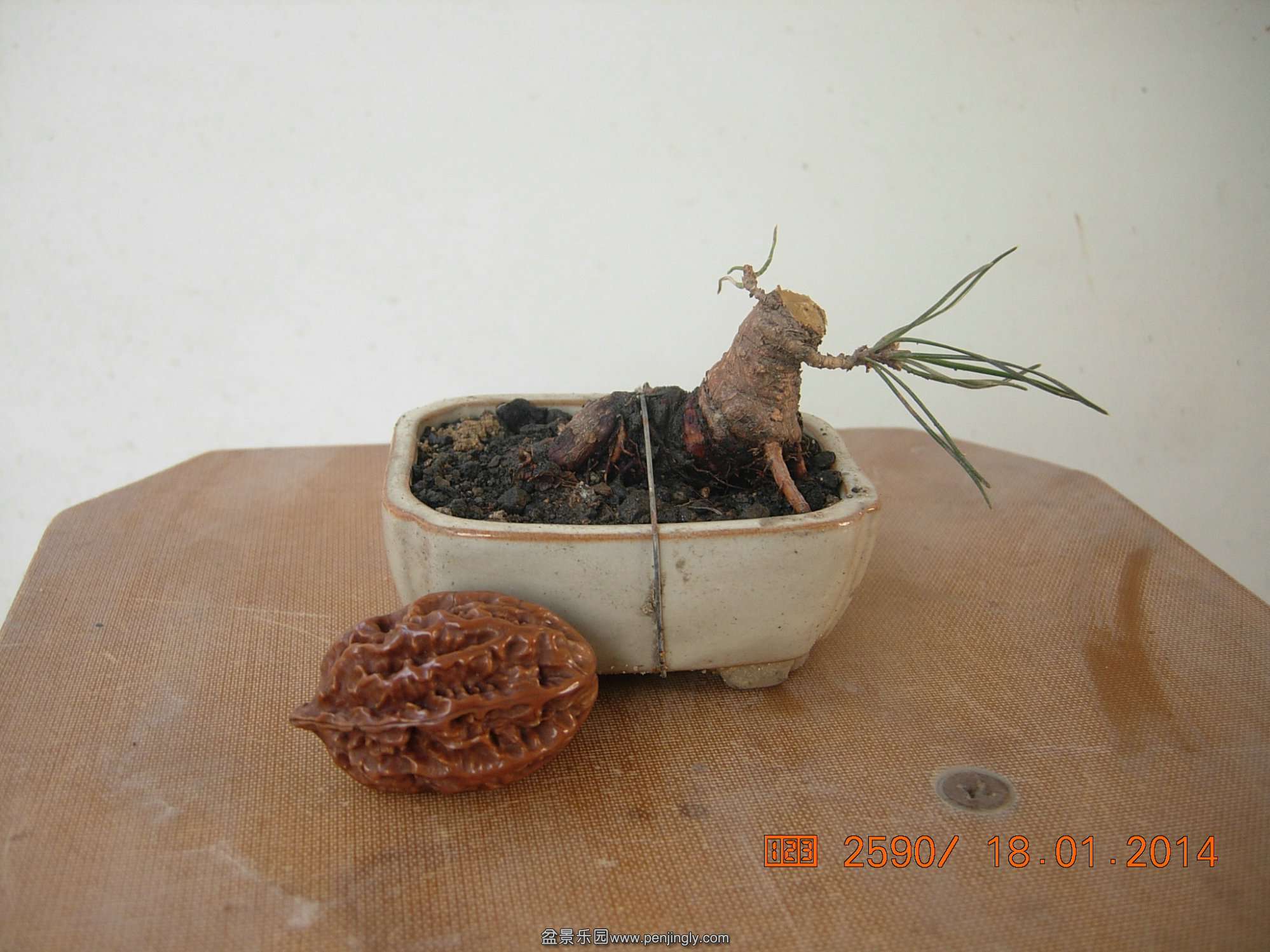 DSCN7110.JPG