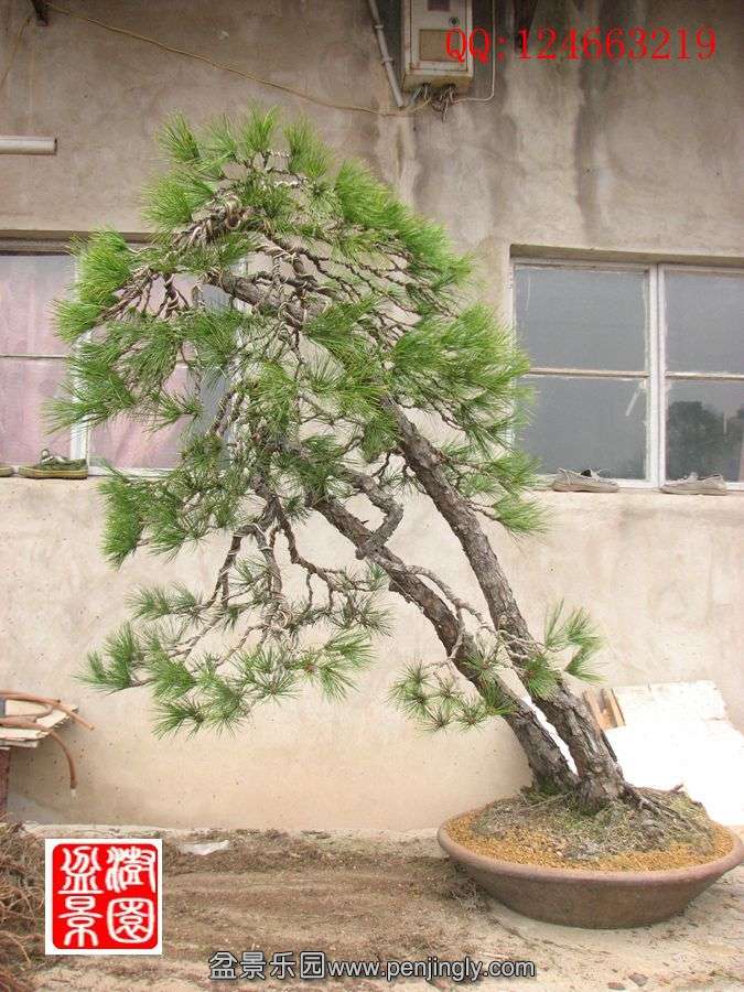 IMG_0440_.jpg