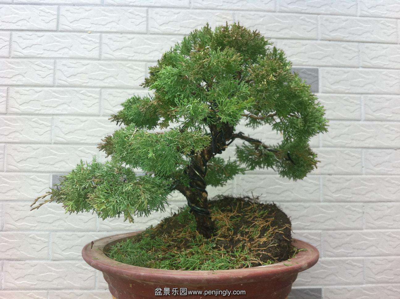 2014020680 001.jpg