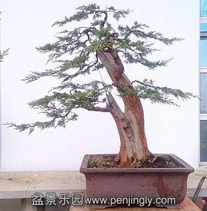 IMG_20140201_092526.jpg