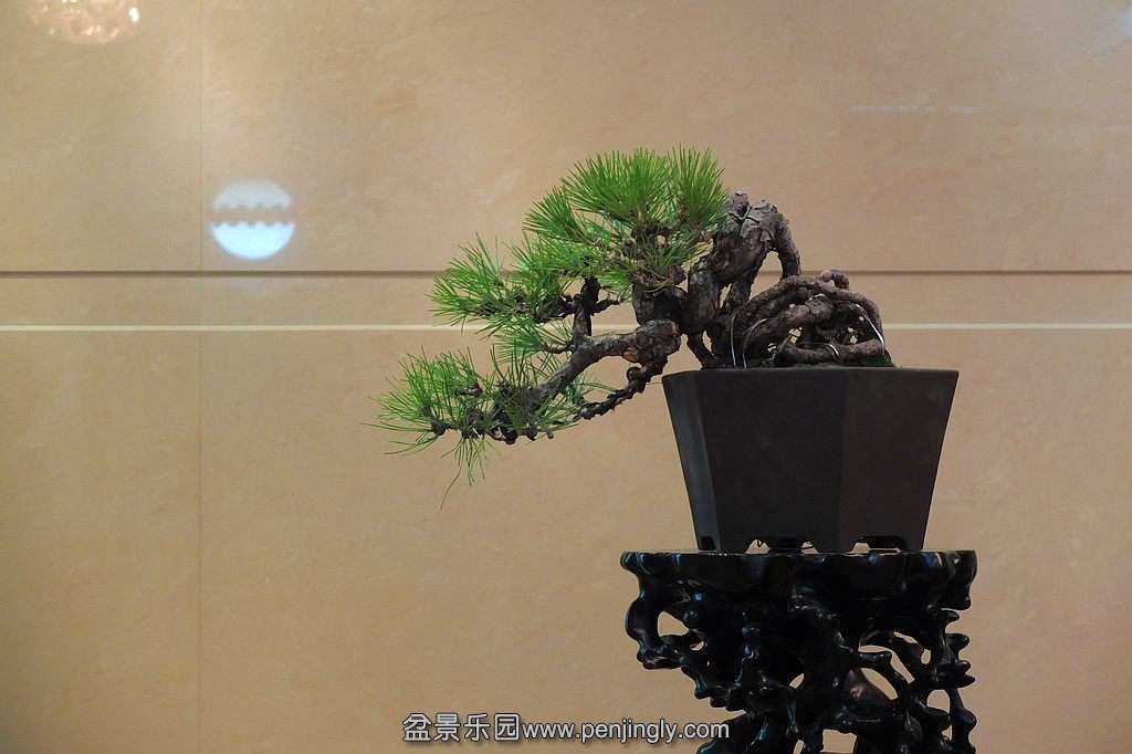 DSCF6838.jpg