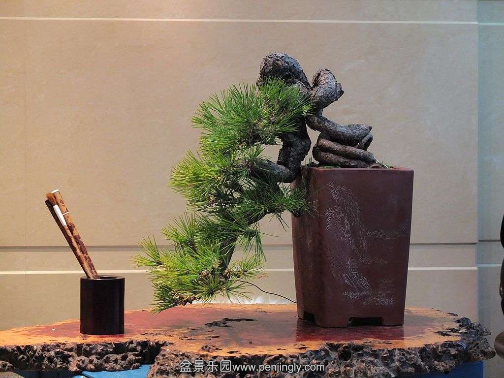 DSCF7684.jpg