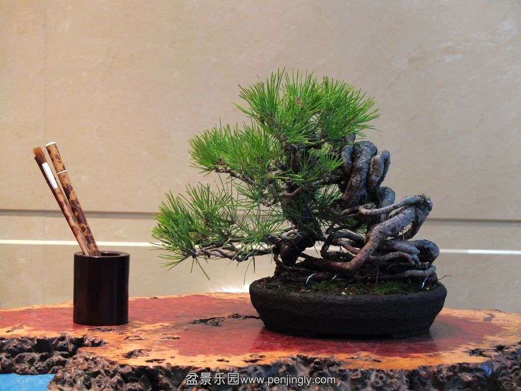 DSCF7697.jpg