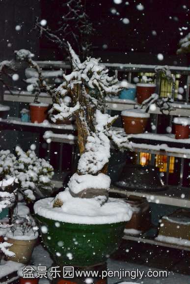 DSC_0696.JPG