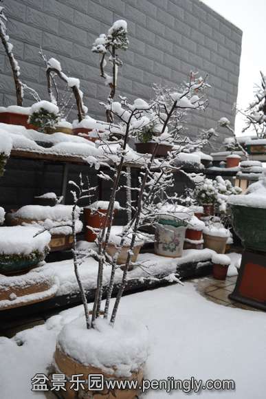 DSC_0699.JPG
