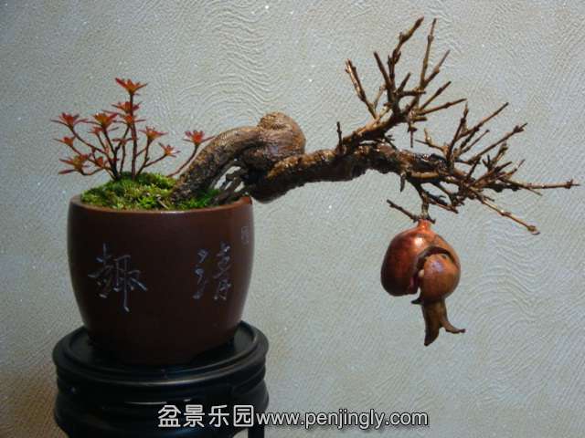 DSC06980.JPG