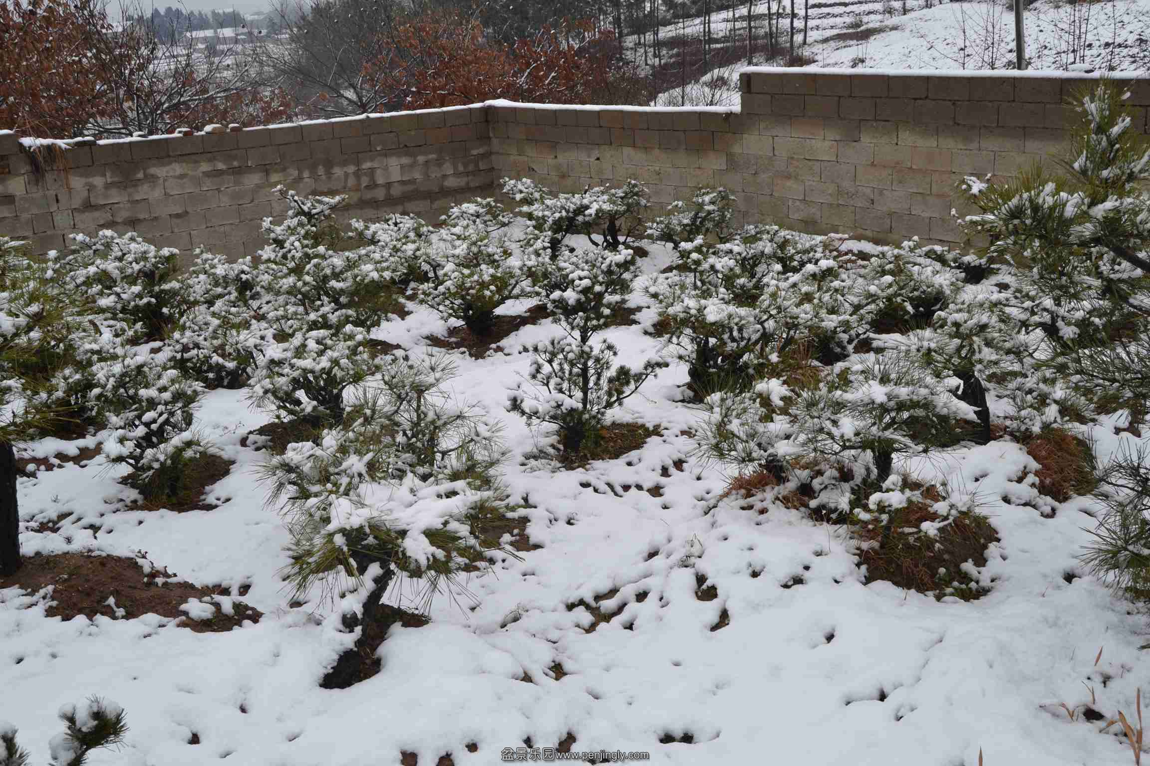 2014-02-07 049.jpg