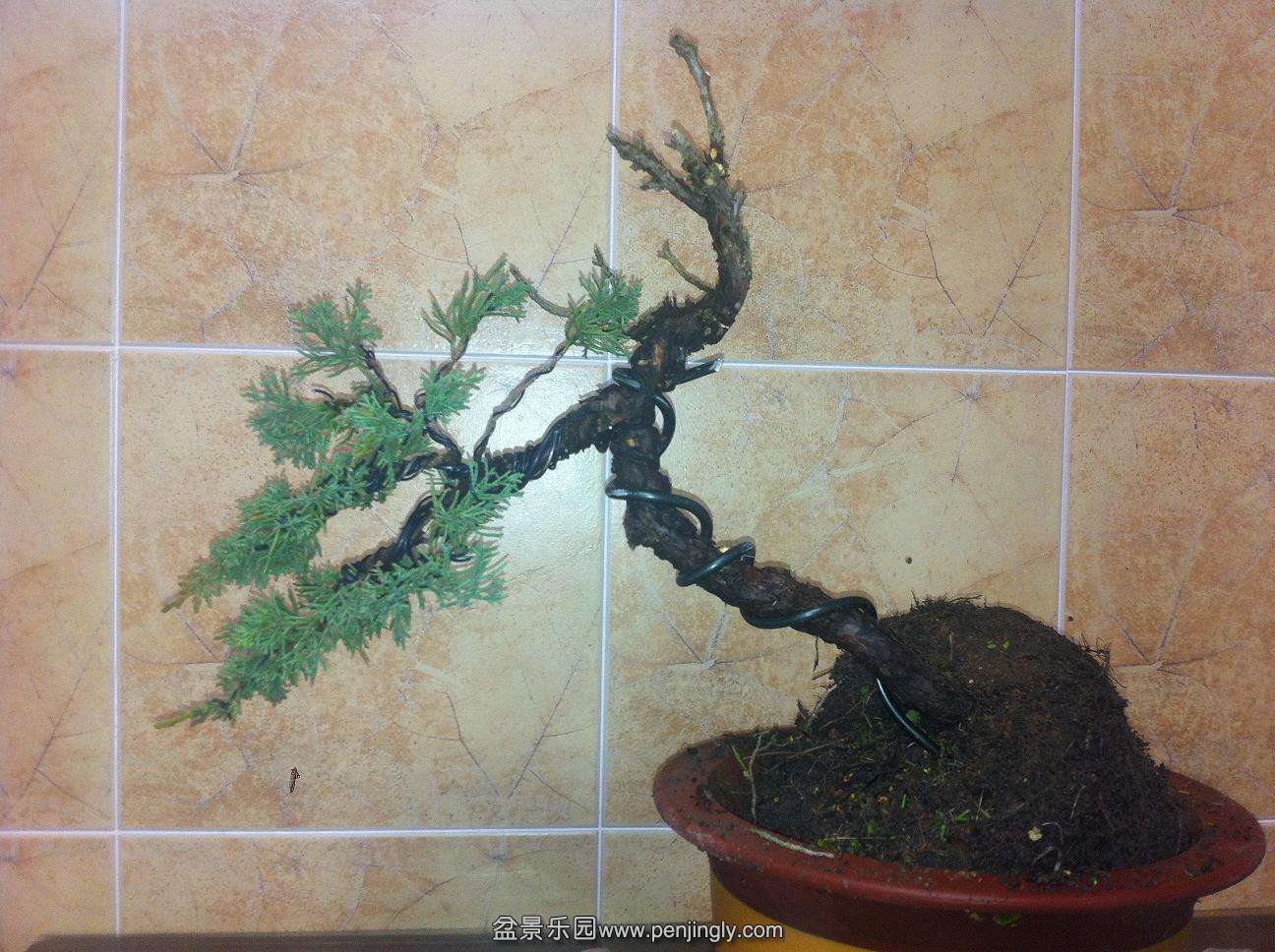 2014020880 002.jpg