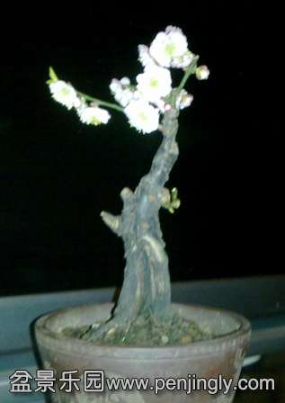 201402072043.jpg