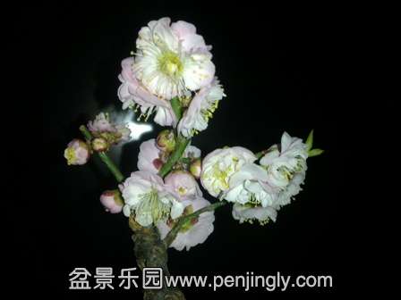 201402072045.jpg