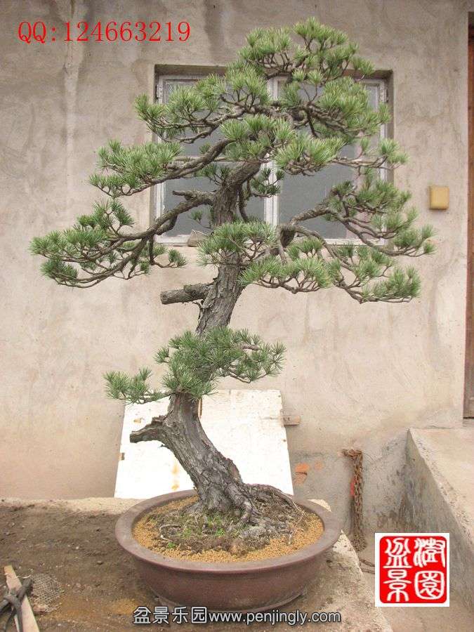 IMG_0483_.jpg