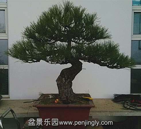 IMG_20140110_091308.jpg