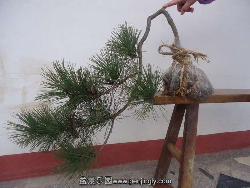 DSC01080_.jpg
