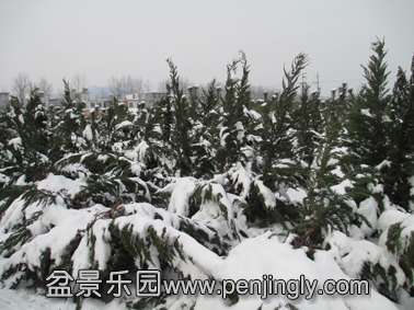 IMG_10640.jpg