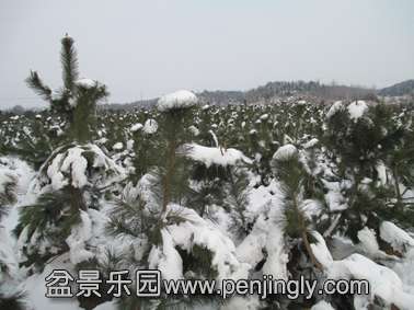 IMG_10650.jpg