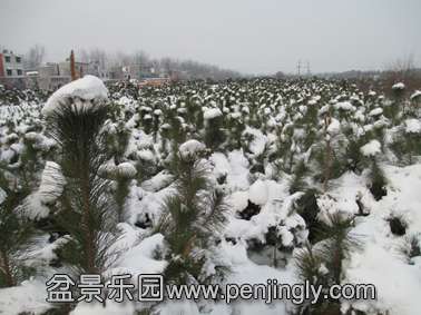 IMG_10660.jpg