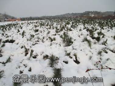 IMG_10670.jpg