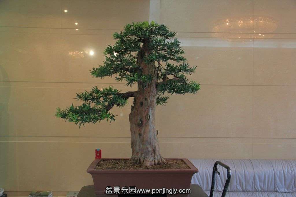 2012辰 (117).jpg