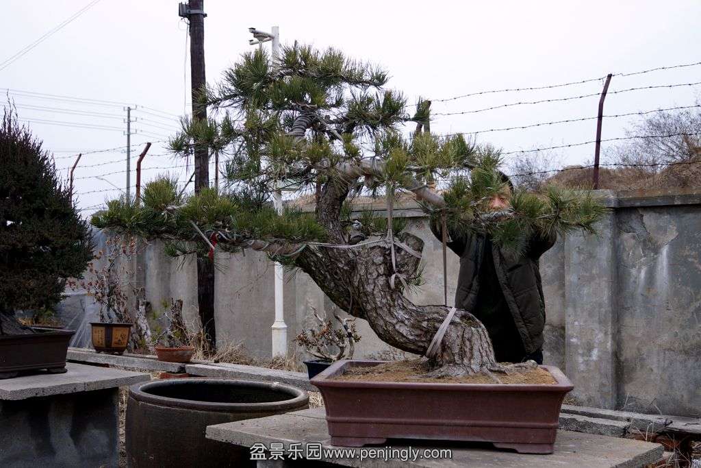 58.jpg