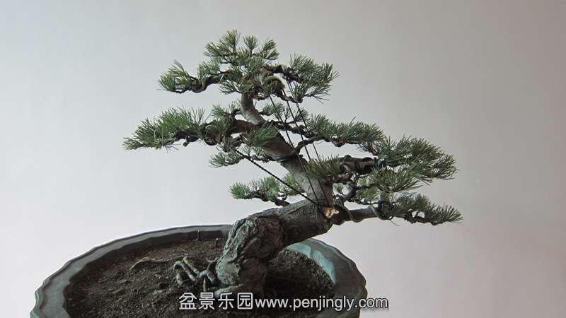 IMG_31251.jpg