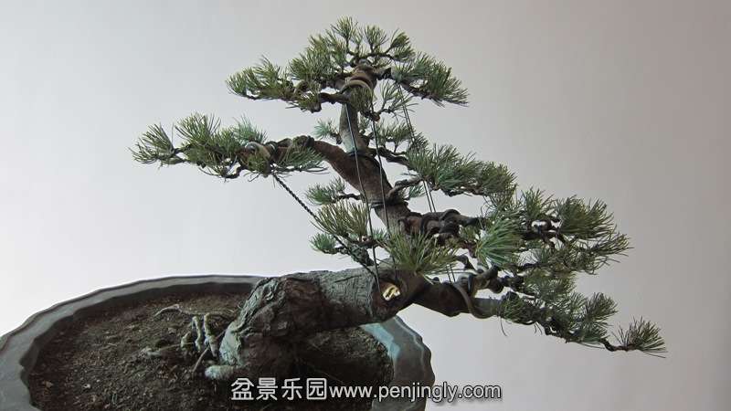 IMG_31271.jpg