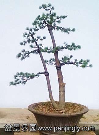 IMG_20140206_092553.jpg