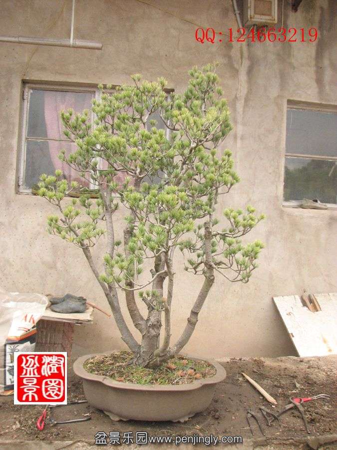 IMG_0523_.jpg
