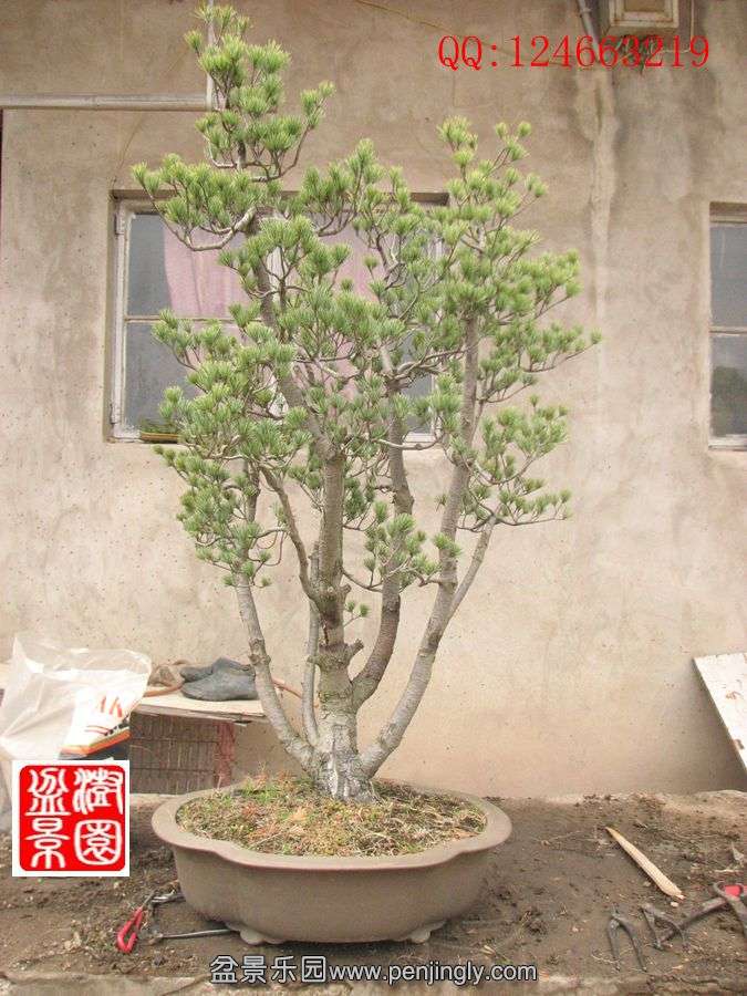 IMG_0524_.jpg