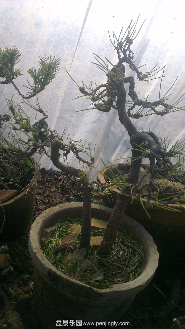 IMAG0014.jpg