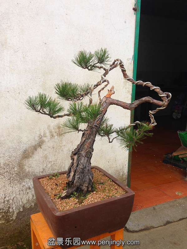 Ƭ 009_.jpg