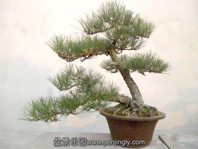 ع P1030539.JPG