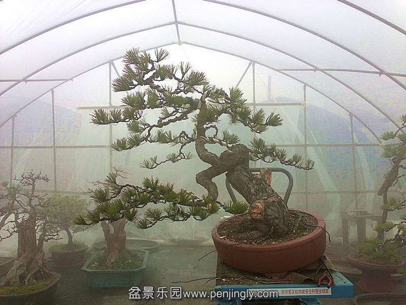 20140216752__.jpg